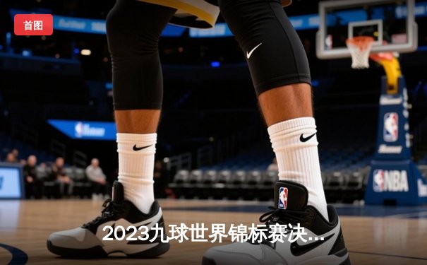 2023九球世界锦标赛决赛回放：张伟惊天逆转王林，首夺世界冠军